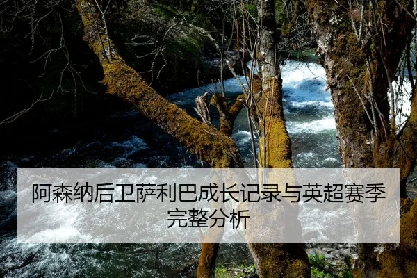 阿森纳后卫萨利巴成长记录与英超赛季完整分析